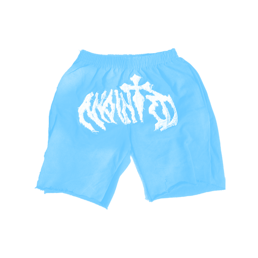 Anointed Shorts - UNC