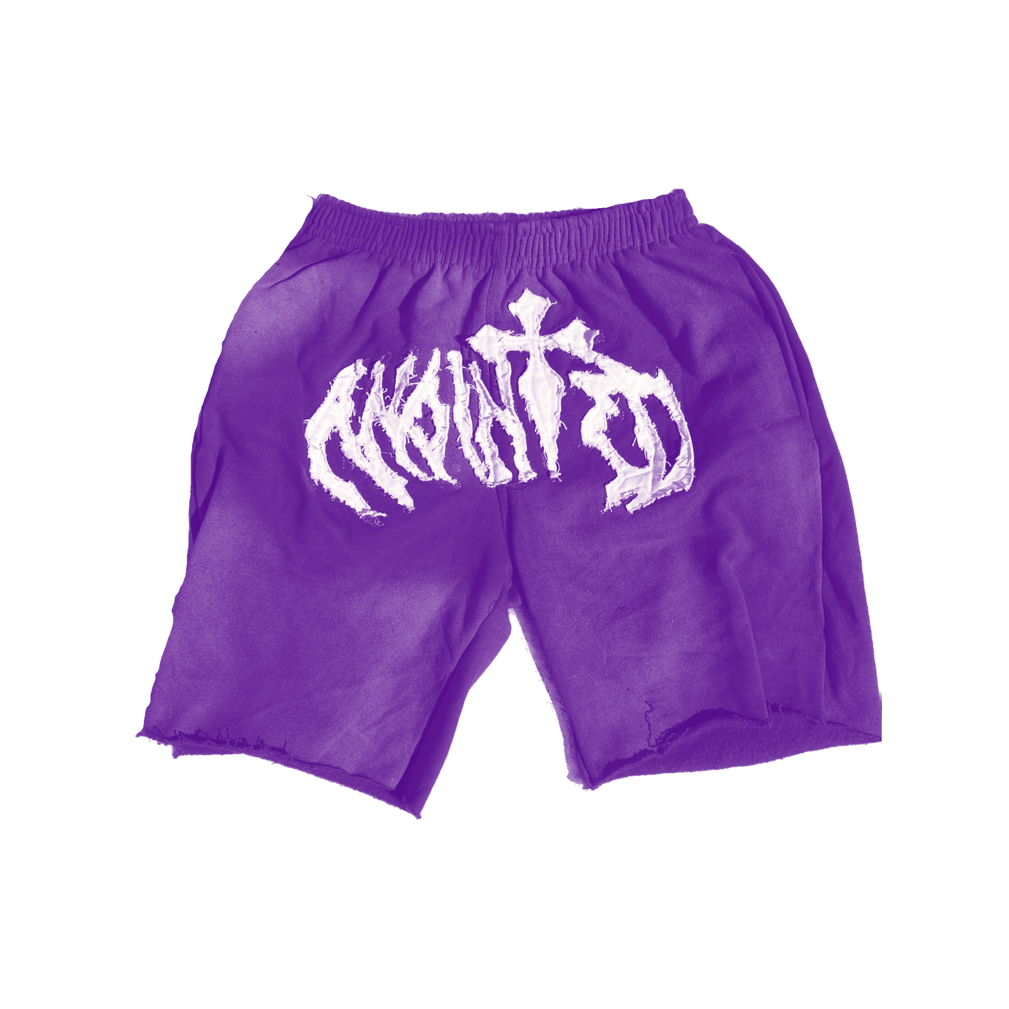 Anointed Shorts - Purple